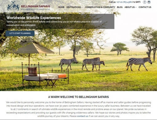 BELLINGHAM SAFARIS