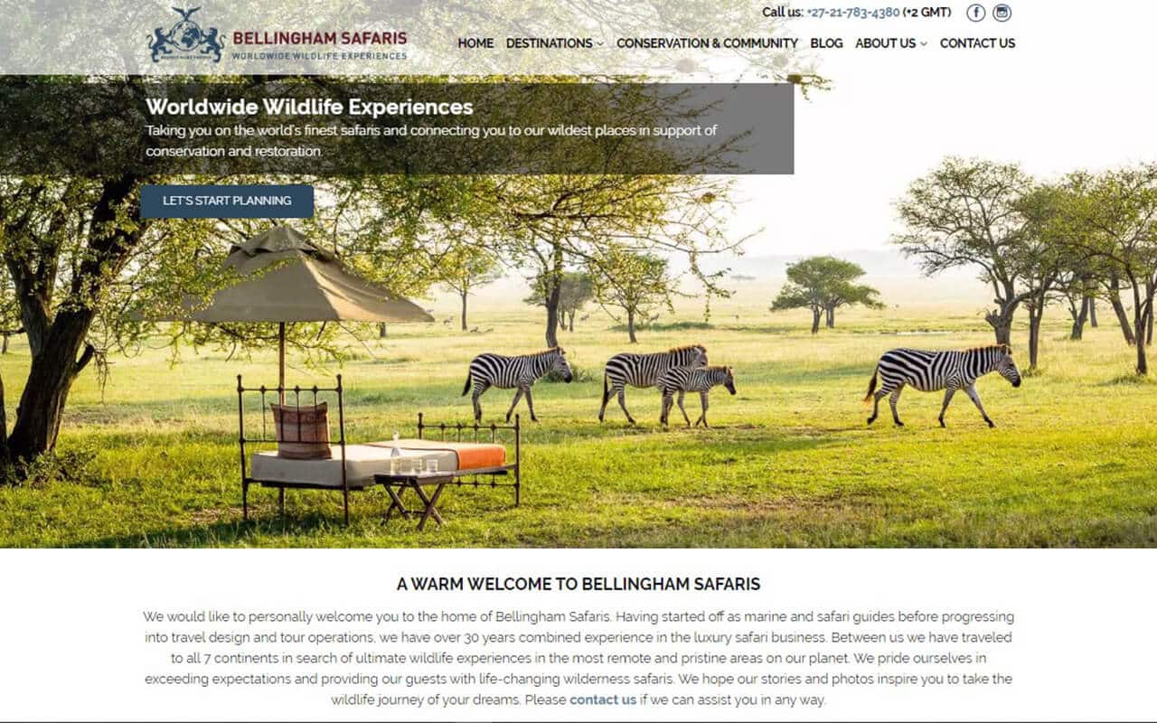 bellingham safaris