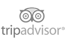 trip-advisor logo